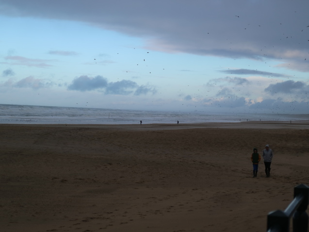 f0345263_20150466.jpg
