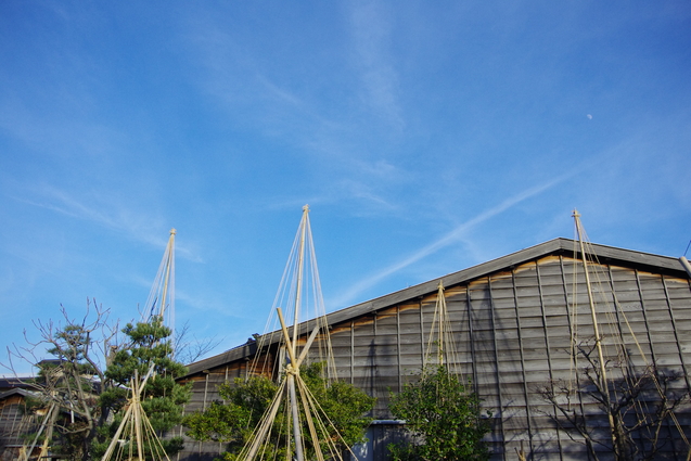 e0362689_2153317.jpg