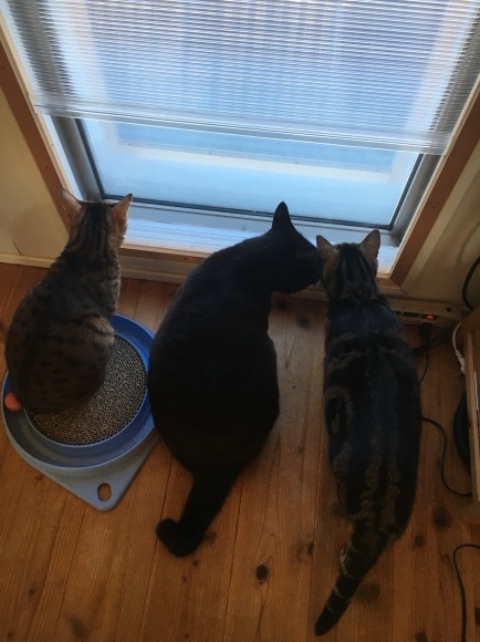 c0011300_22562771.jpeg