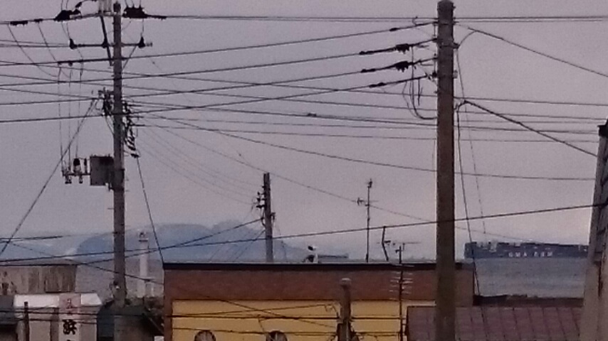 d0149105_1445183.jpg