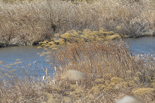 a0278809_16392790.jpg