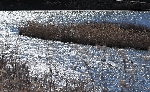 a0278809_16404012.jpg