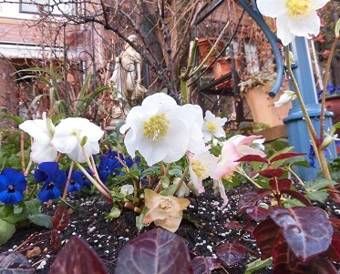 c0204121_17274217.jpg