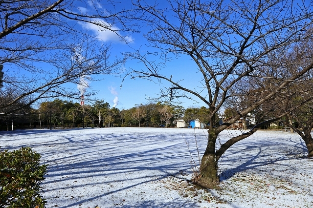 a0242438_18173706.jpg