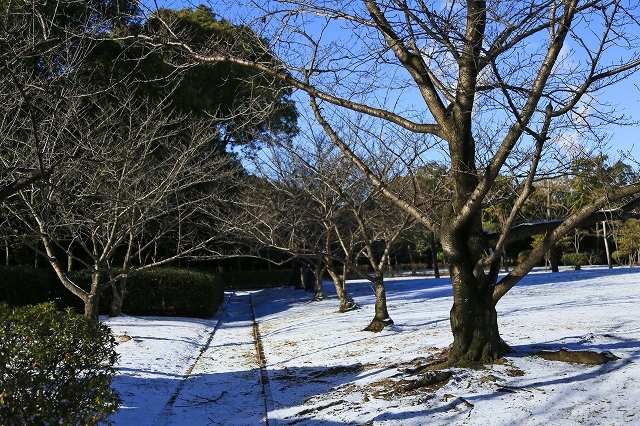 a0242438_18173868.jpg
