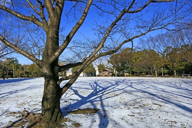 a0242438_18194296.jpg