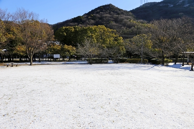 a0242438_18194315.jpg