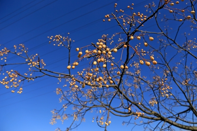 a0242438_18200379.jpg