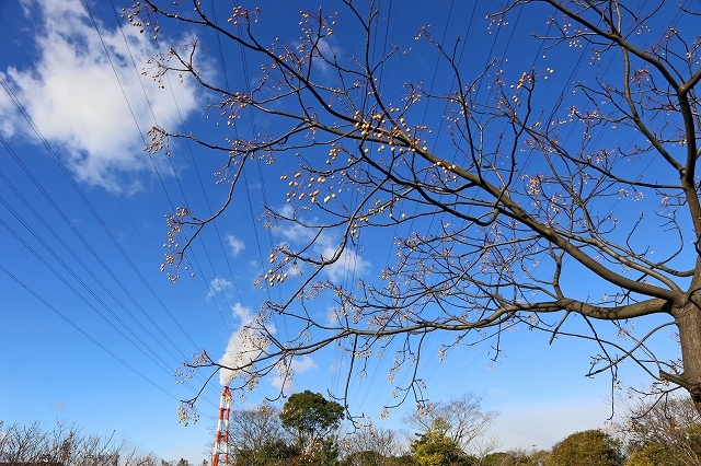 a0242438_18200393.jpg