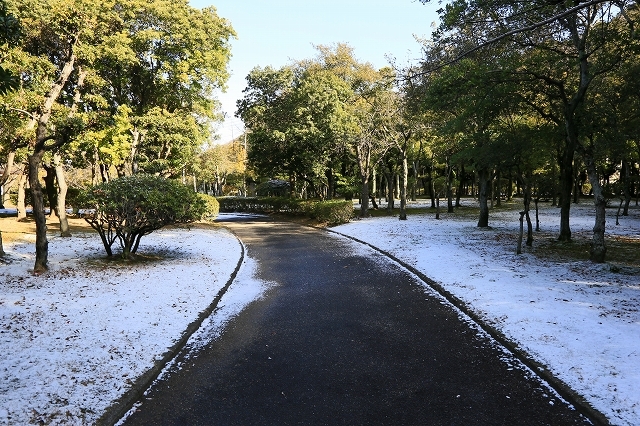 a0242438_18215103.jpg