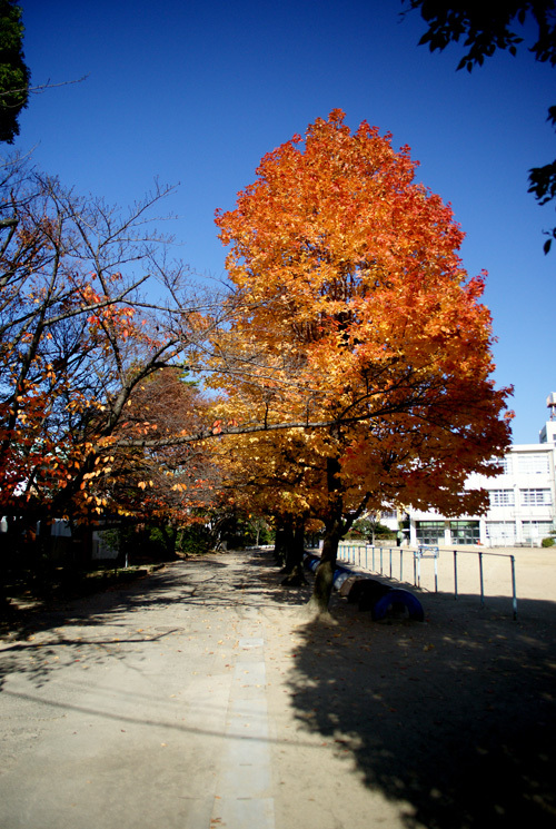 c0181552_17292122.jpg