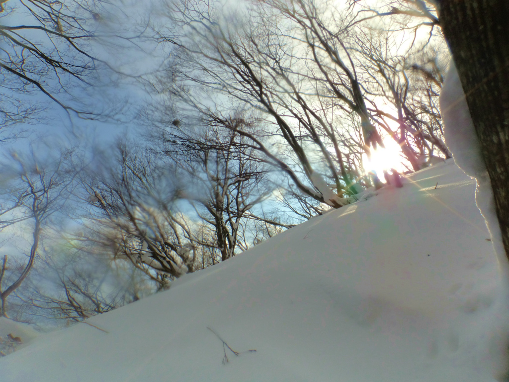 b0234354_18313867.jpg