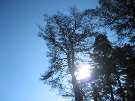 e0271461_15300358.jpg