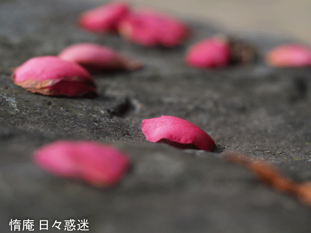 e0346064_19353698.gif