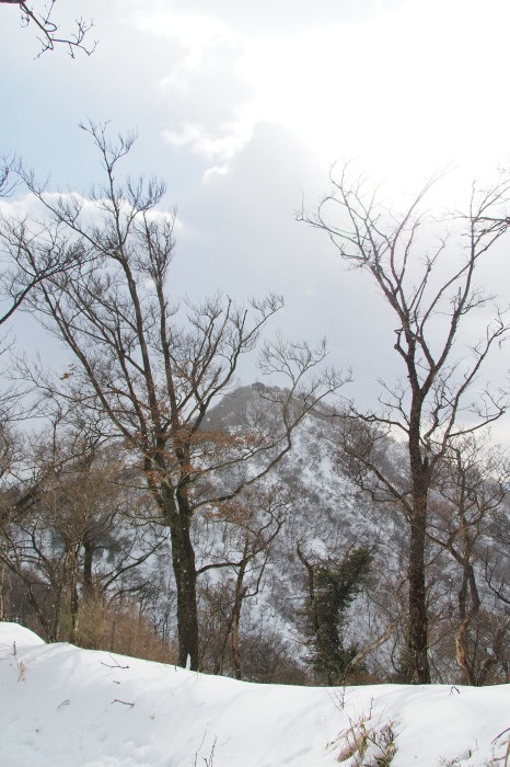 e0307372_13291674.jpg