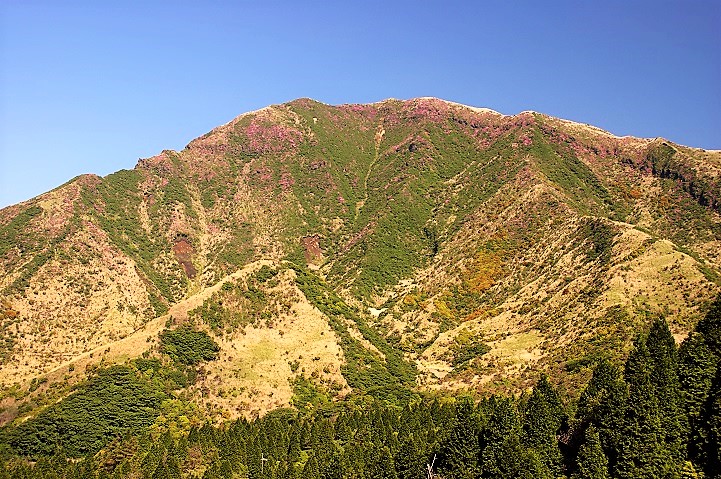 c0248473_117032.jpg