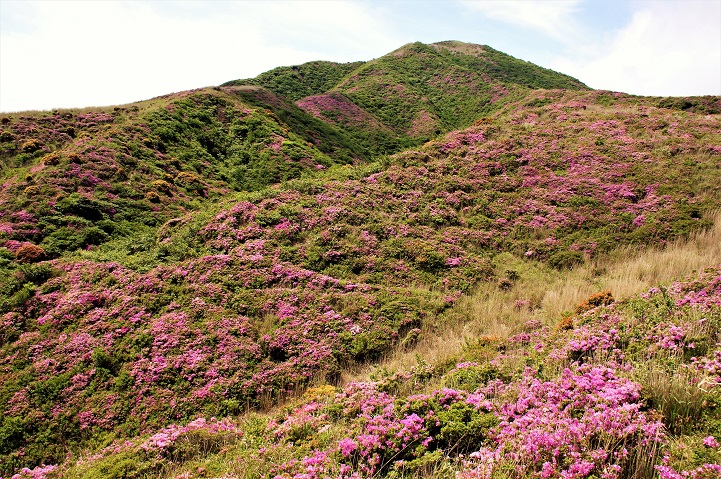 c0248473_1171335.jpg