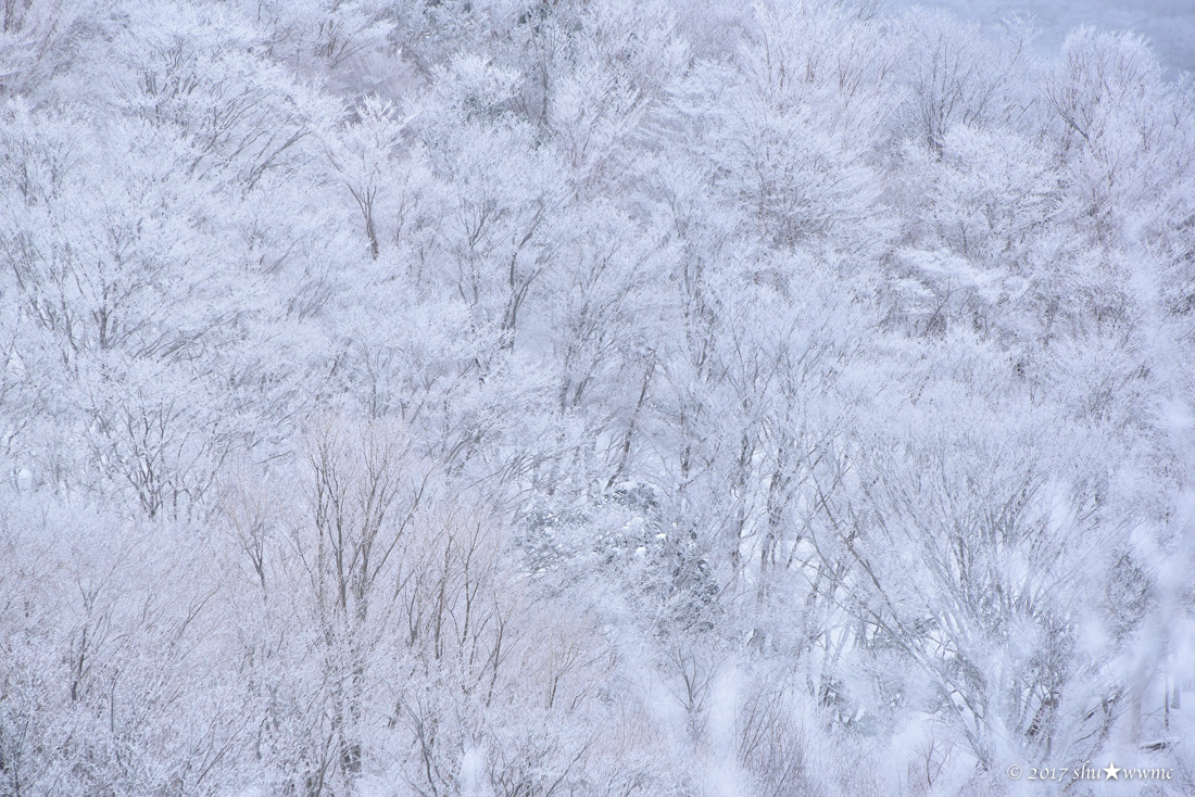 a0142976_19402212.jpg
