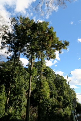 e0191481_17075899.jpg