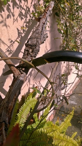 e0154682_00062010.jpg