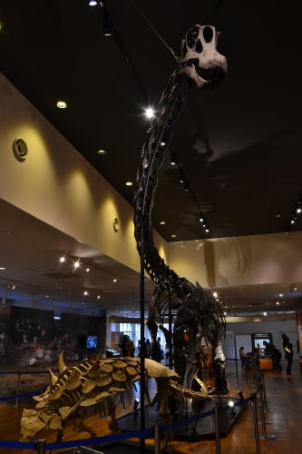 f0188600_09594823.jpg