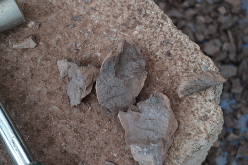 f0188600_10000400.jpg