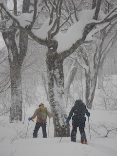 c0359615_22263156.jpg