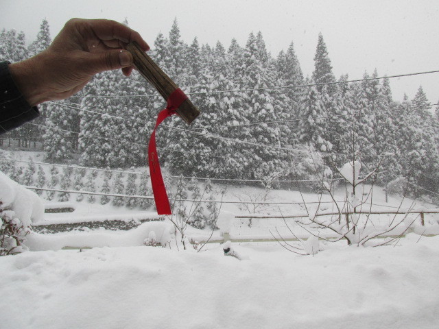 f0341616_15144724.jpg