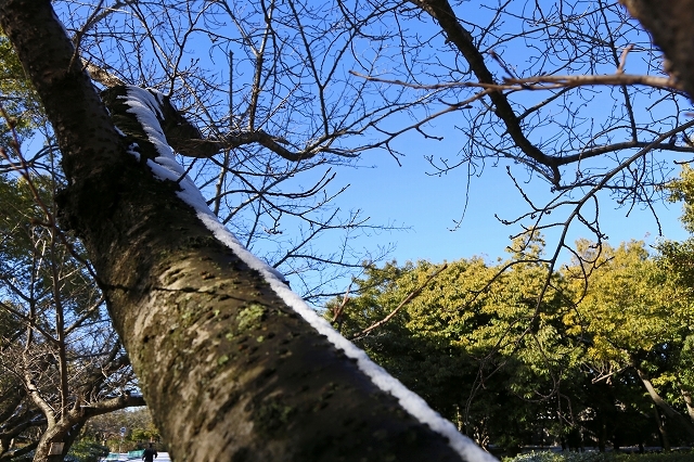 a0242438_20083623.jpg