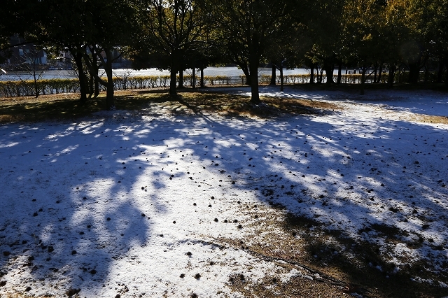 a0242438_20083795.jpg