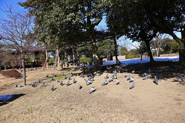 a0242438_20084649.jpg