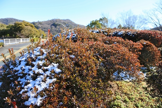 a0242438_20125283.jpg