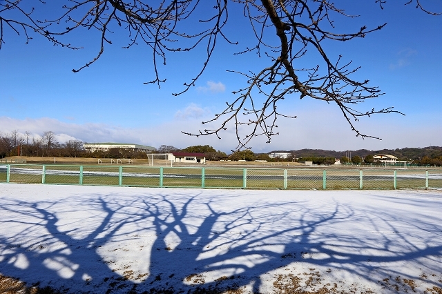 a0242438_20130415.jpg