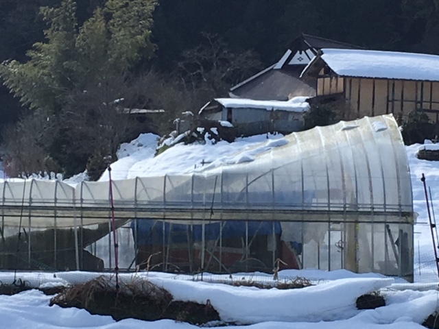 f0342542_11031831.jpg