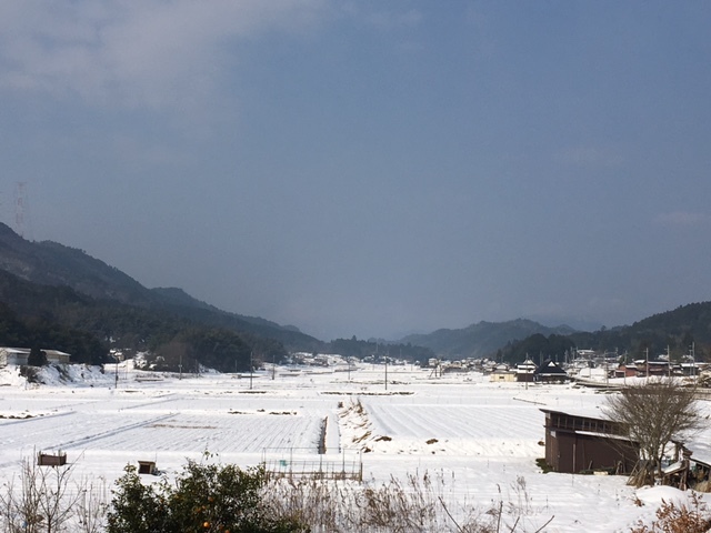 f0342542_11104668.jpg