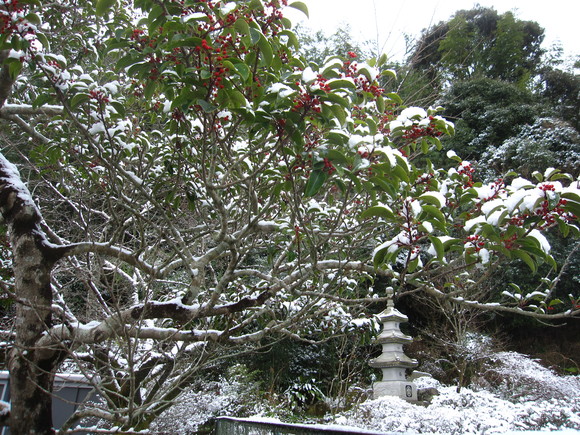 b0243152_14431349.jpg
