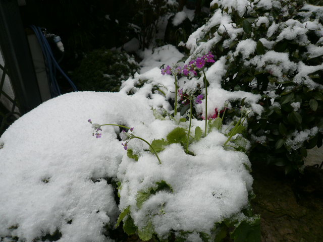 c0043055_14373496.jpg