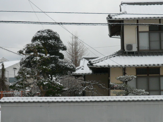 c0043055_14403425.jpg