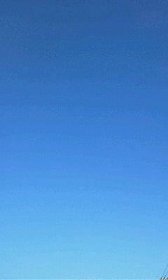 b0105259_1171050.jpg