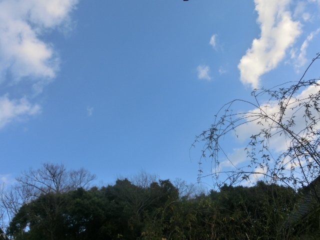 c0328559_16574329.jpg