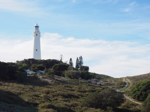 c0351060_22073523.jpg