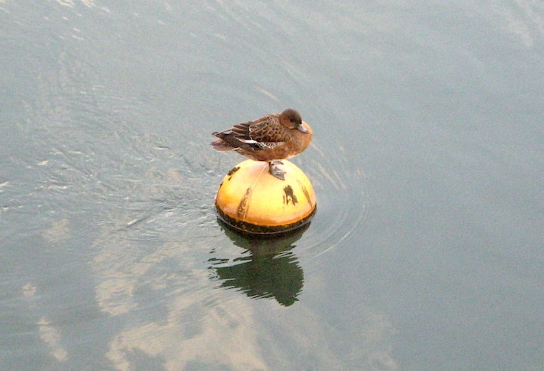 b0057679_8193995.jpg