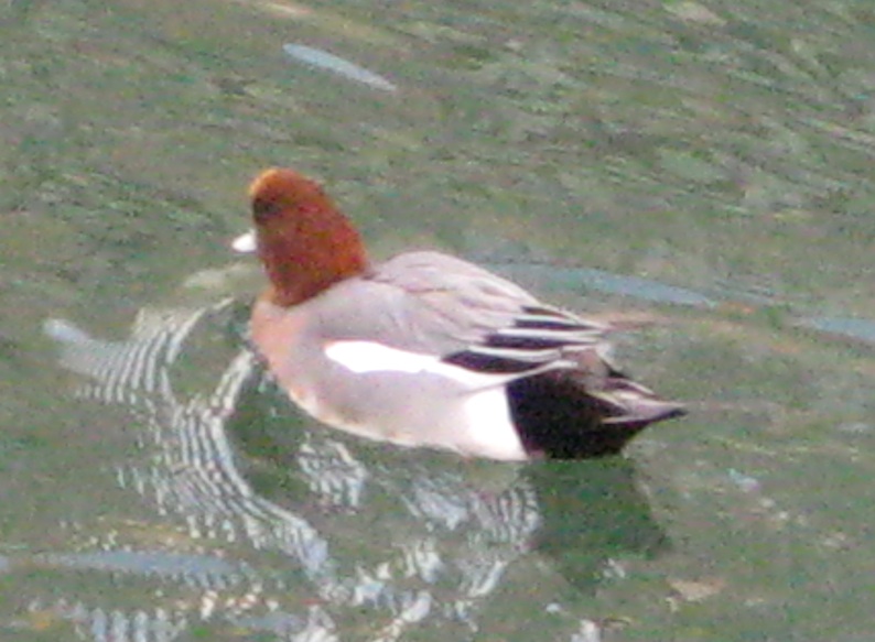 b0057679_8195243.jpg