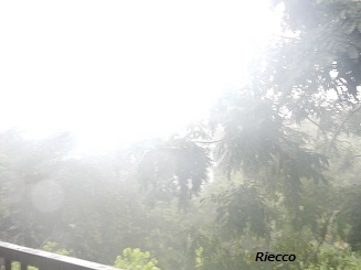 e0001885_15463527.jpg