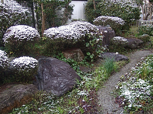 e0086885_15325798.jpg
