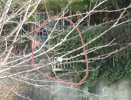e0086885_15524024.jpg