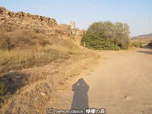 c0010496_08335437.jpg