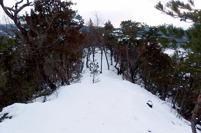 e0137200_1741476.jpg