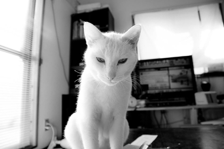 f0239100_17062301.jpg