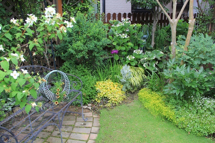 a0123003_19343203.jpg